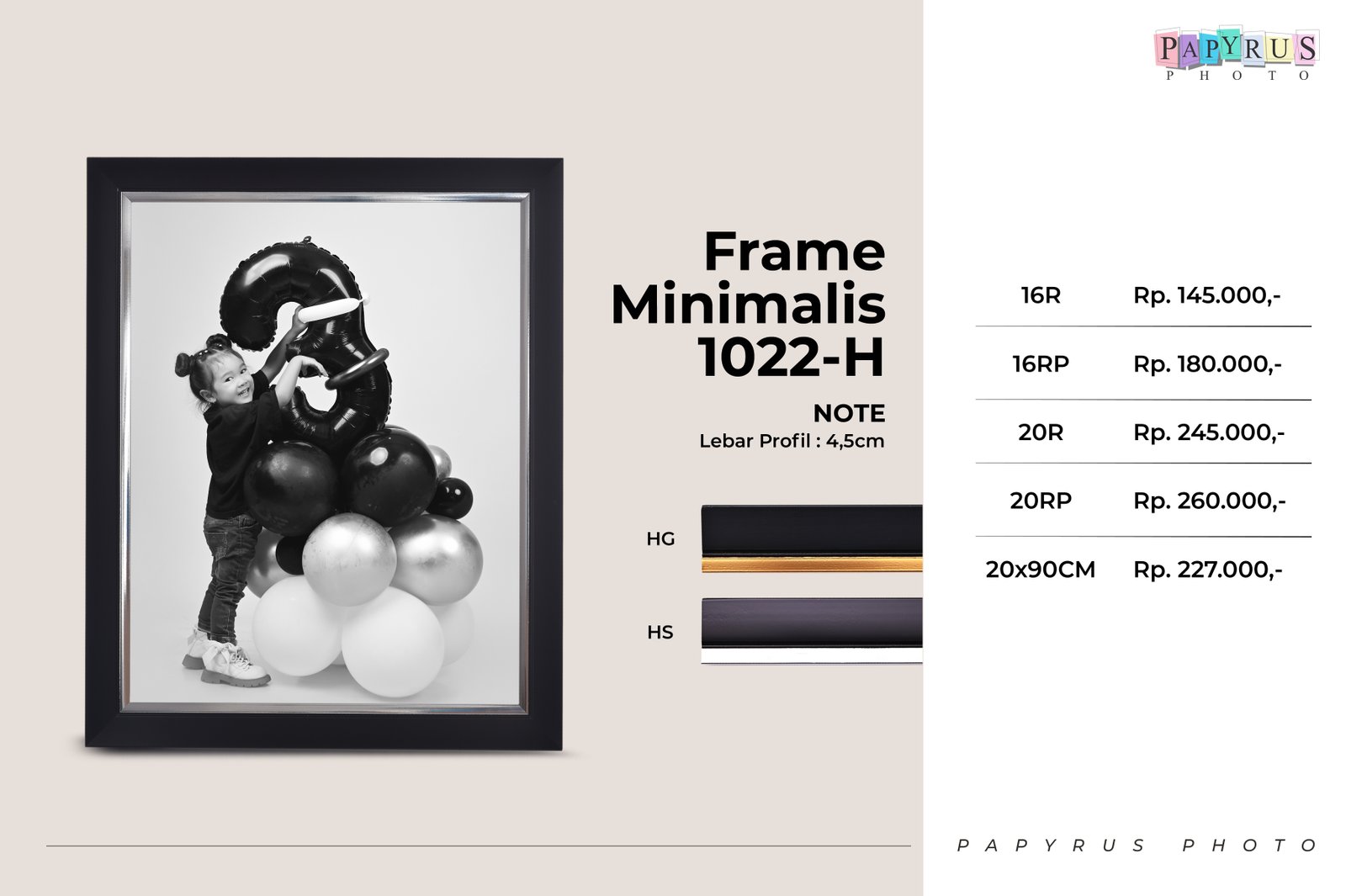 Frame Minimalis 1002-H